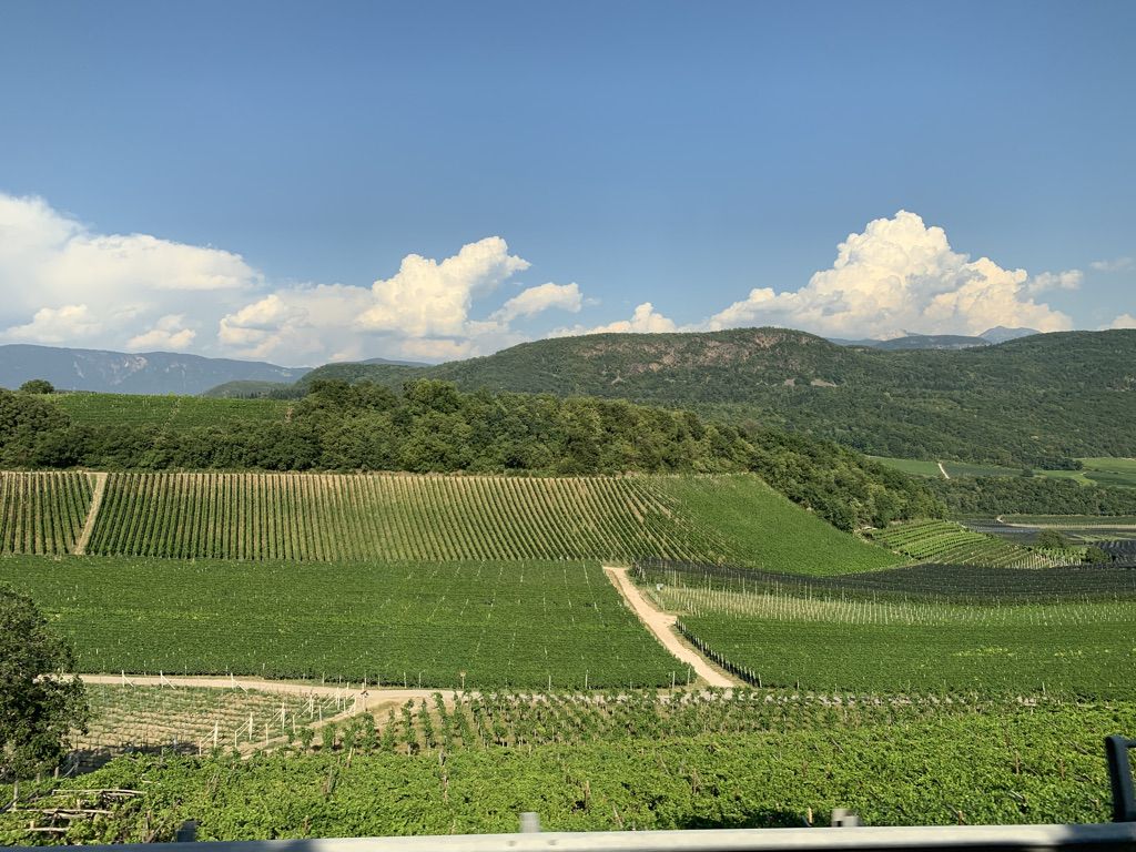 03 KALTERN - VIGNETI