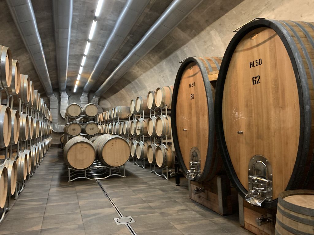16 KALTERN - CANTINA