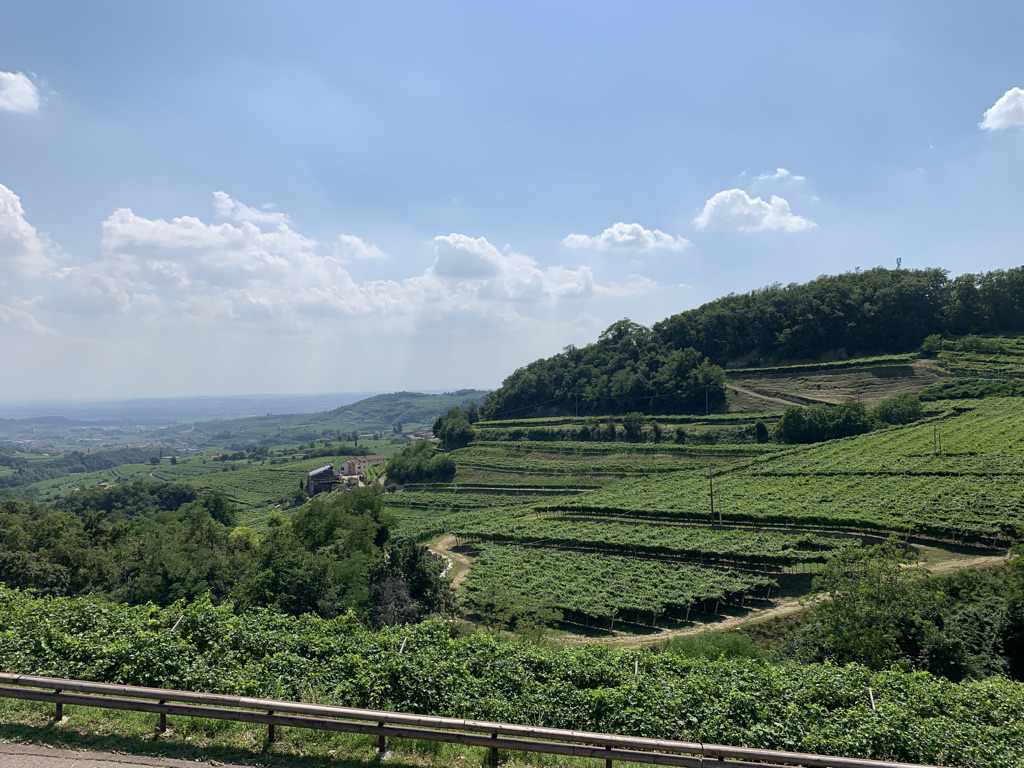 ARMANI 03 - I VIGNETI