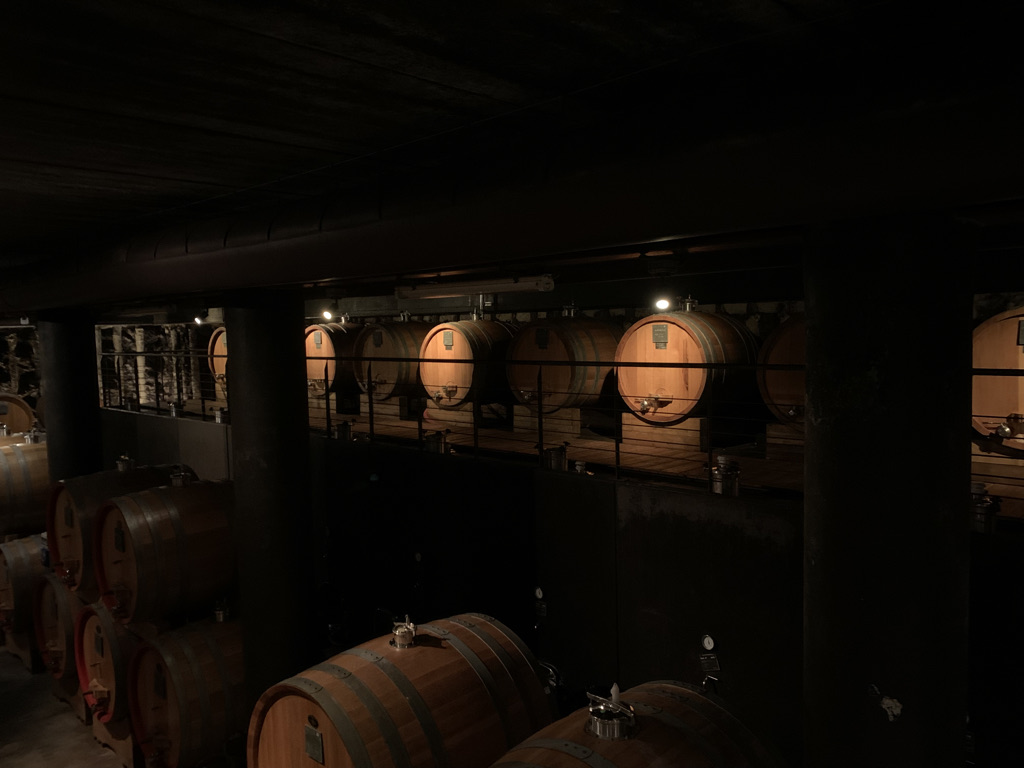 ARMANI 21 - CANTINA