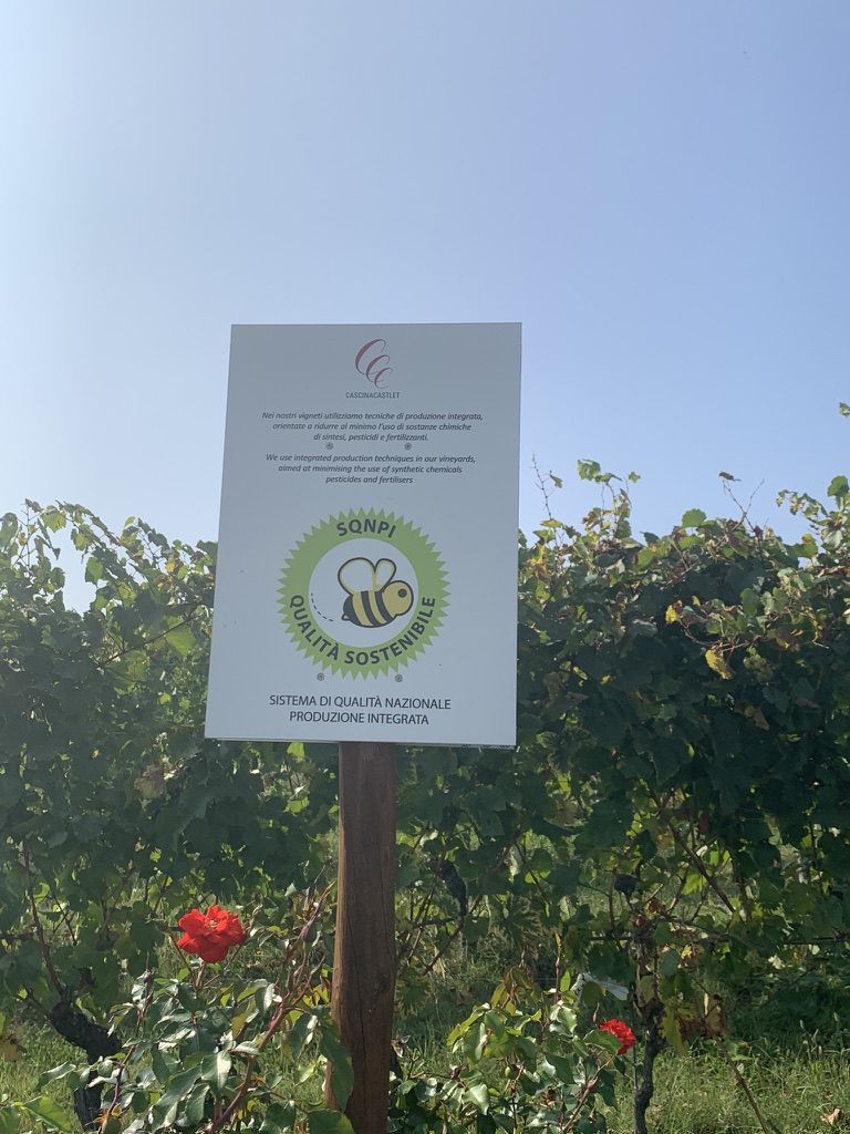 02 CASTLET - PRESENTAZIONE