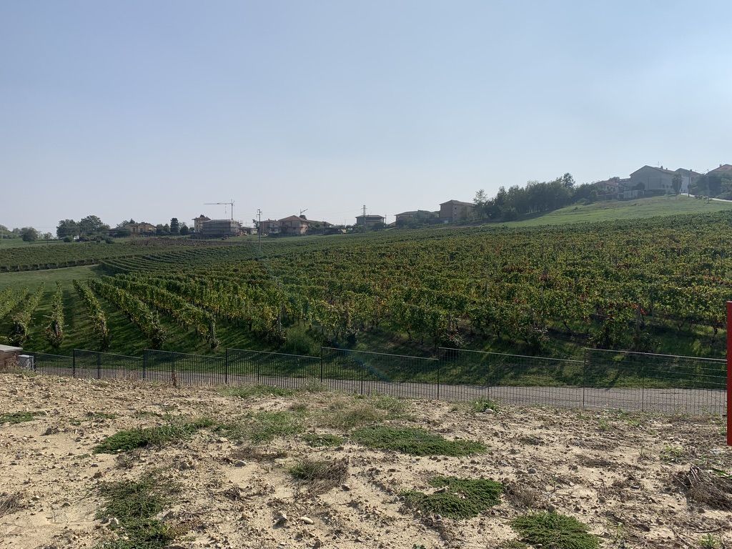 03 CASTLET - VIGNETI