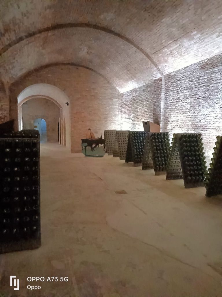 07 BOSCA - CANTINA