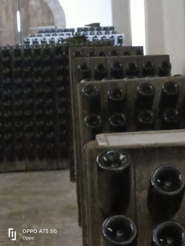 13 BOSCA - CANTINA