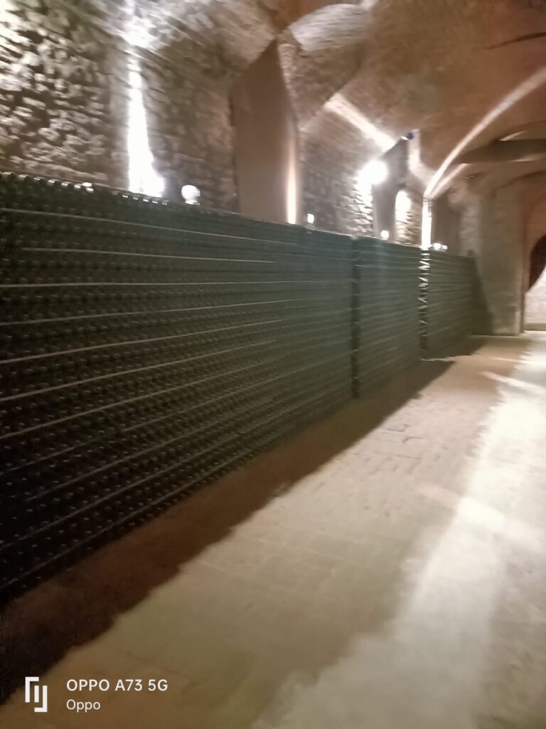 14 BOSCA - CANTINA