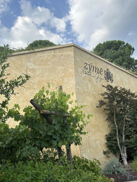 02 ZYME' - PRESENTAZIONE