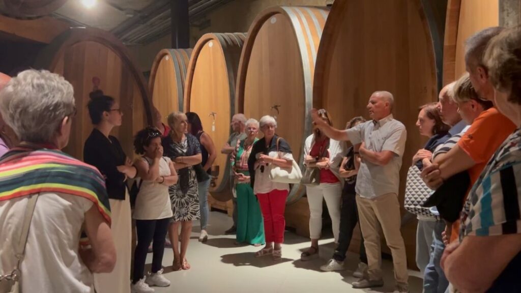 22 ZYME' - CANTINA