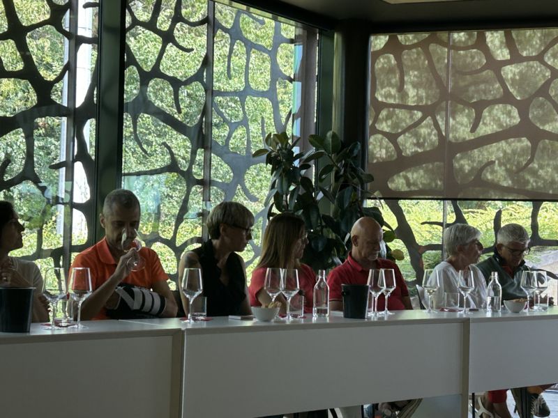 47 ZYME' - DEGUSTAZIONE VINI