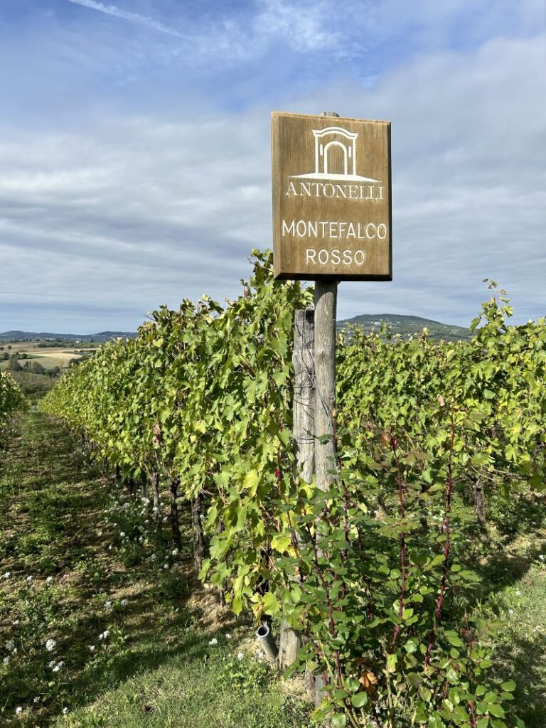 02 ANTONELLI - PRESENTAZIONE