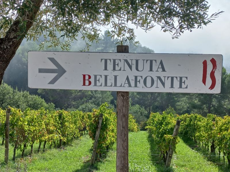 02 BELLAFONTE - PRESENTAZIONE