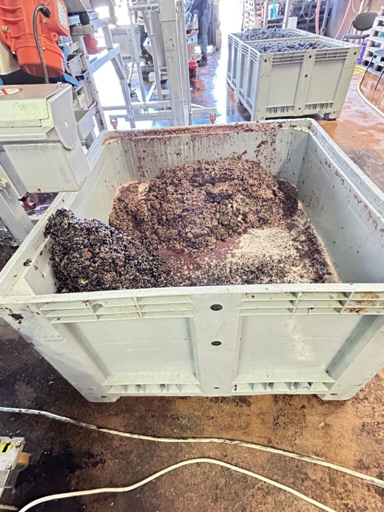 15 CARAPACE - LAVORAZIONE