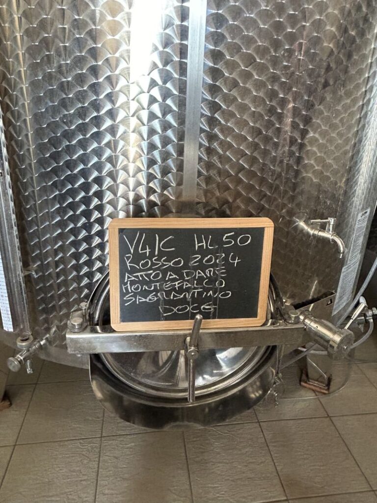 17 BELLAFONTE - CANTINA