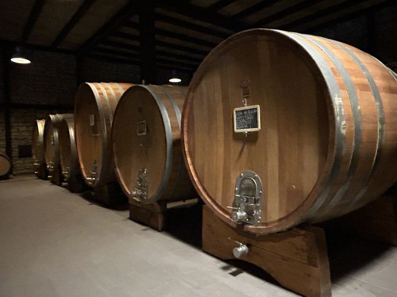18 BELLAFONTE - CANTINA