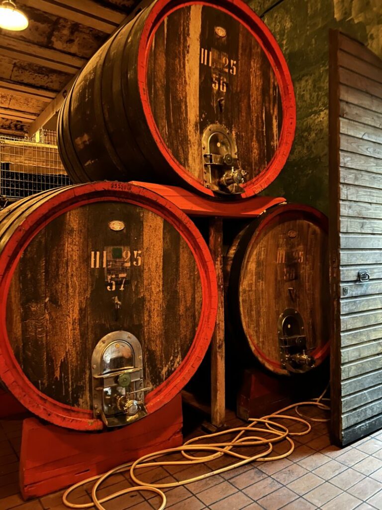 20 ANTONELLI - CANTINA