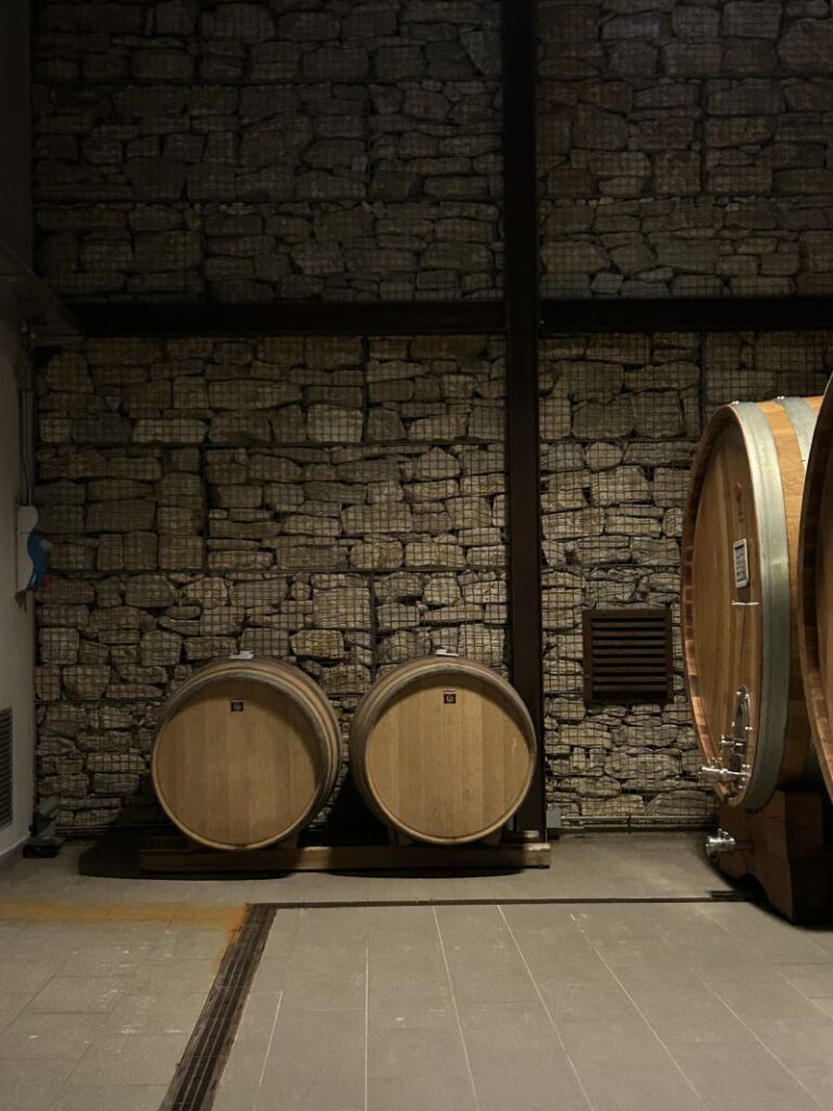 21 BELLAFONTE - CANTINA