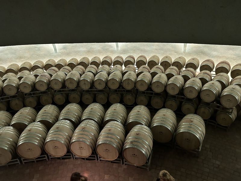 25 CARAPACE - CANTINA