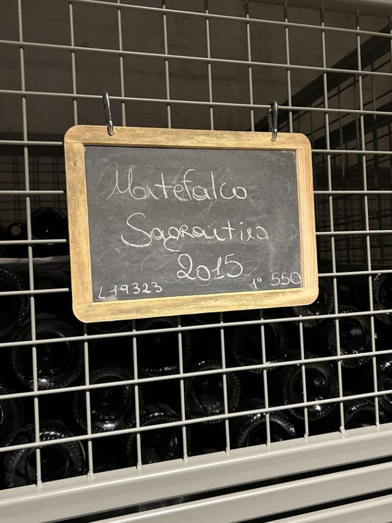 26 ANTONELLI - CANTINA