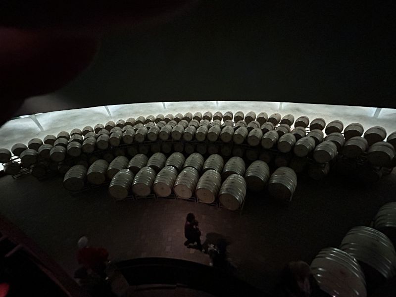 26 CARAPACE - CANTINA