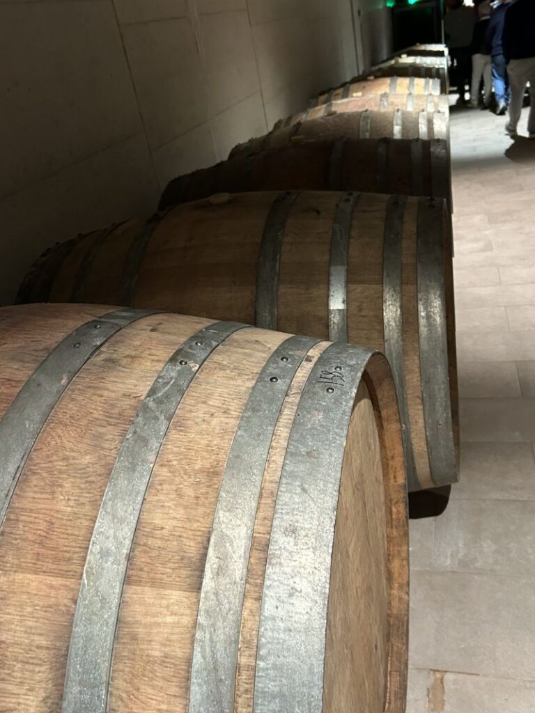 27 ANTONELLI - CANTINA