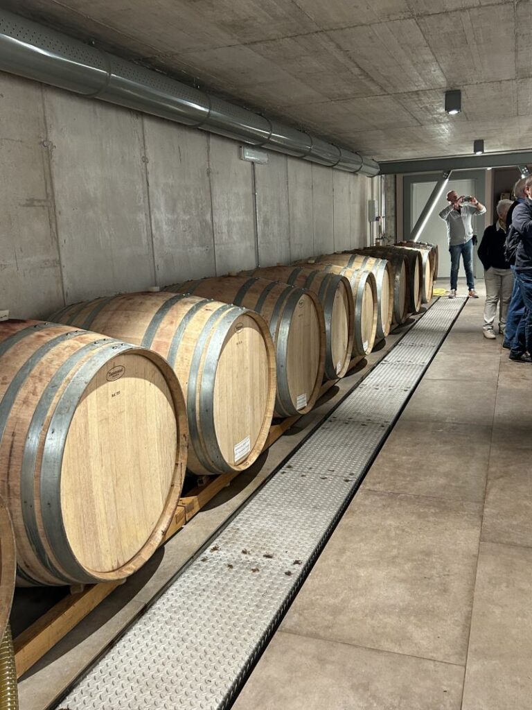 28 ANTONELLI - CANTINA