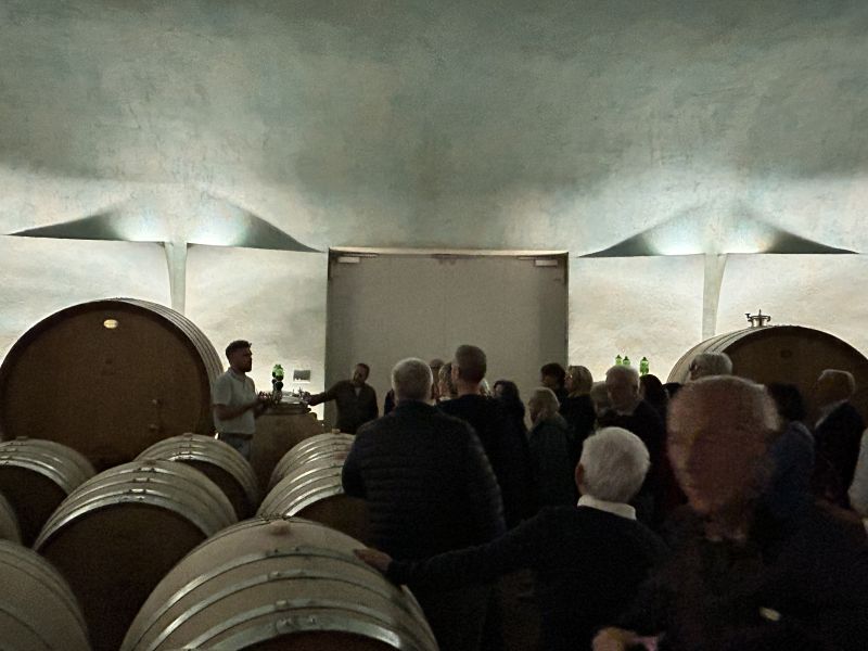 28 CARAPACE - CANTINA