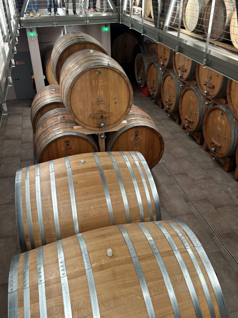 29 ANTONELLI - CANTINA