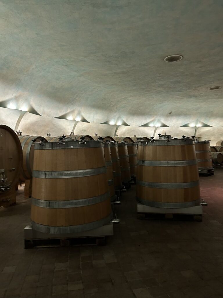 30 CARAPACE - CANTINA