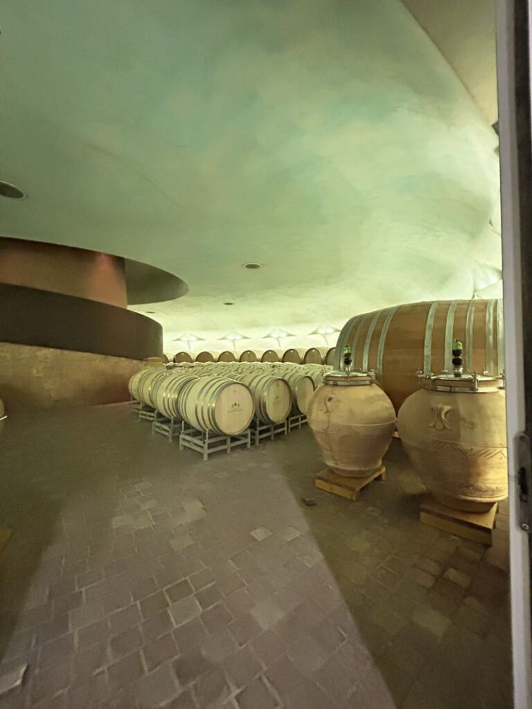 31 CARAPACE - CANTINA