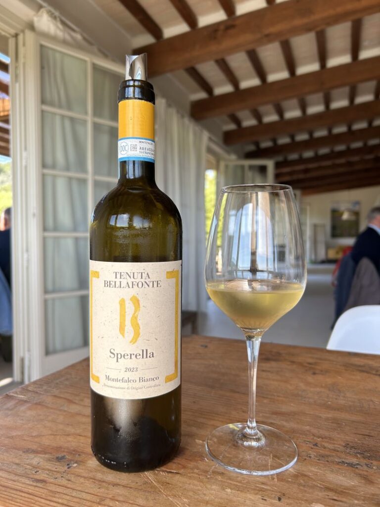 32 BELLAFONTE - I VINI
