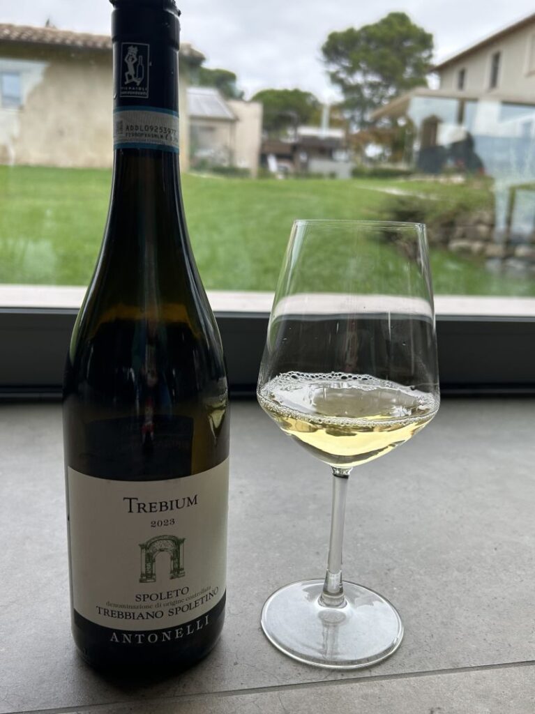 37 ANTONELLI - I VINI