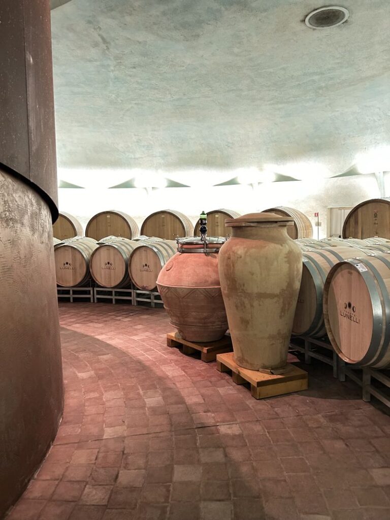 37 CARAPACE - CANTINA