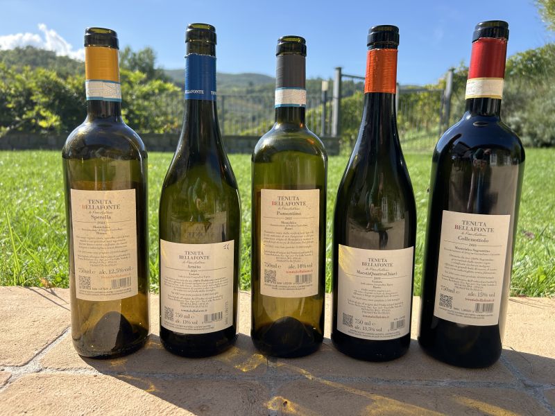39 BELLAFONTE - I VINI