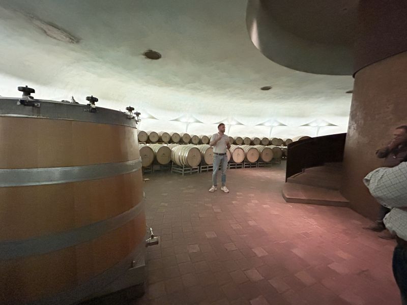 39 CARAPACE - CANTINA