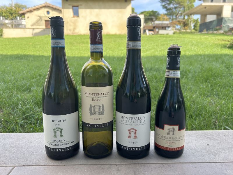 42 ANTONELLI - I VINI