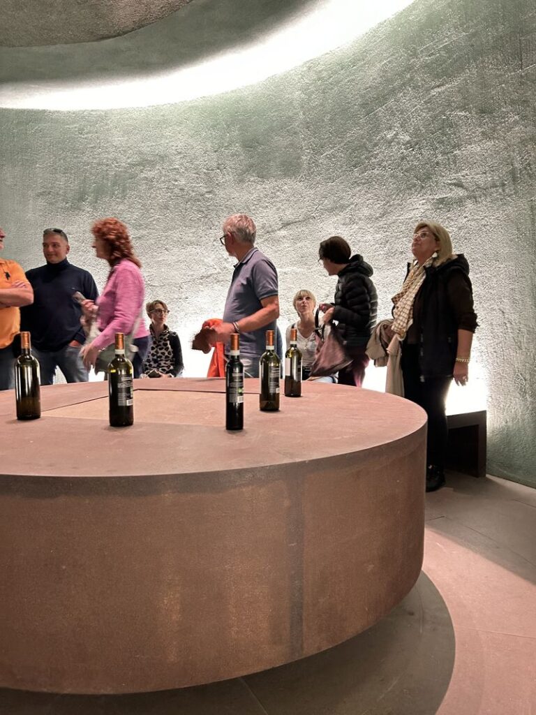 42 CARAPACE - CANTINA