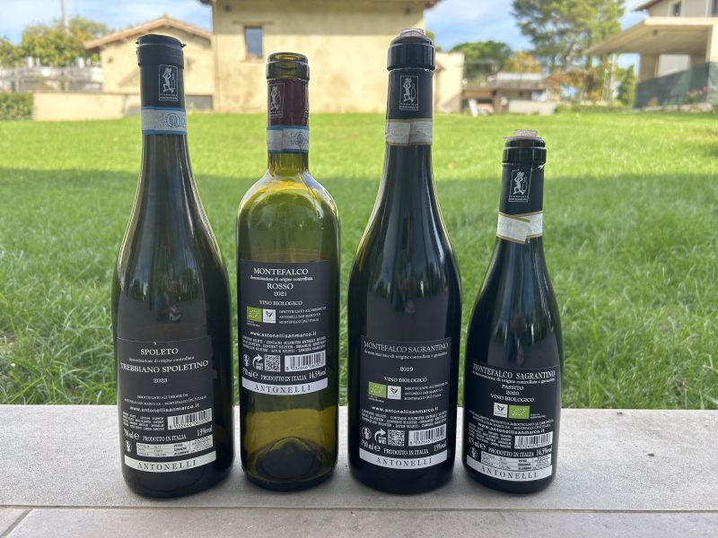 43 ANTONELLI - I VINI