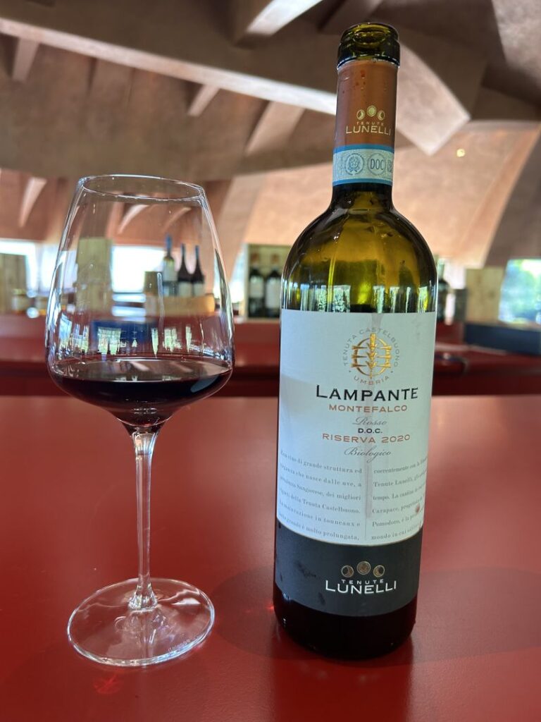 53 CARAPACE - I VINI