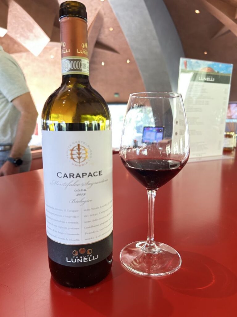 54 CARAPACE - I VINI