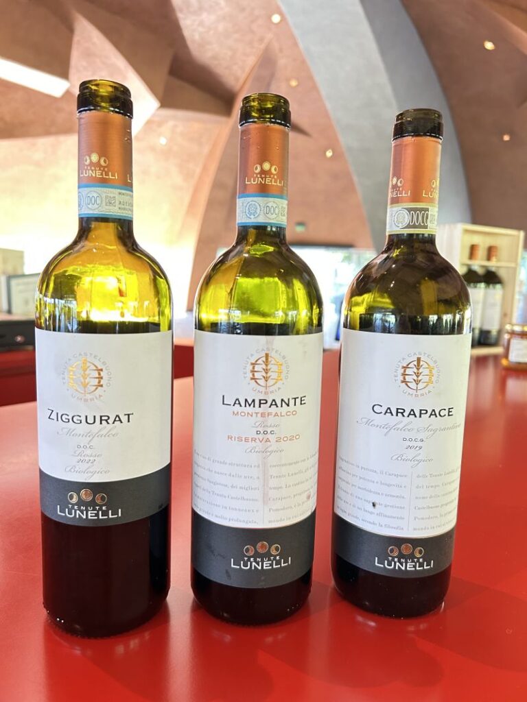 55 CARAPACE - I VINI