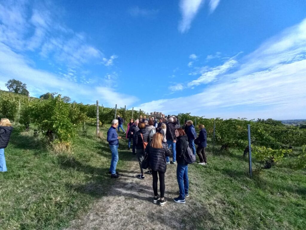 04 - VISITA AL VIGNETO