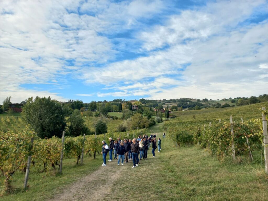 07 - VISITA AL VIGNETO