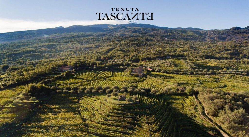 08 - TASCA D'ALMERITA