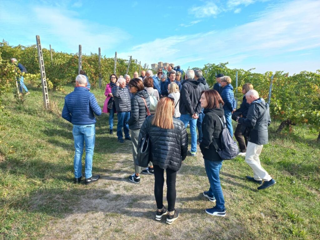 09 - VISITA AL VIGNETO