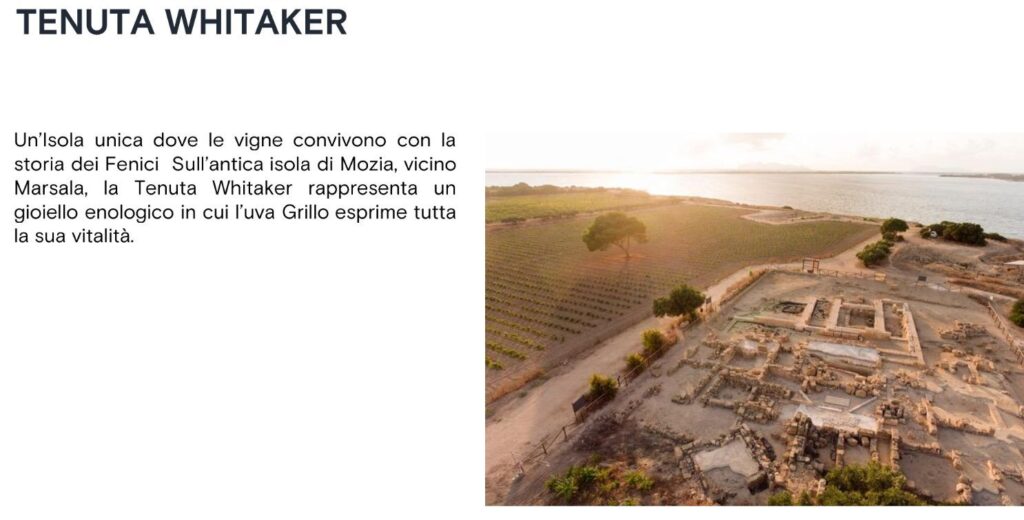 10 - TASCA D'ALMERITA