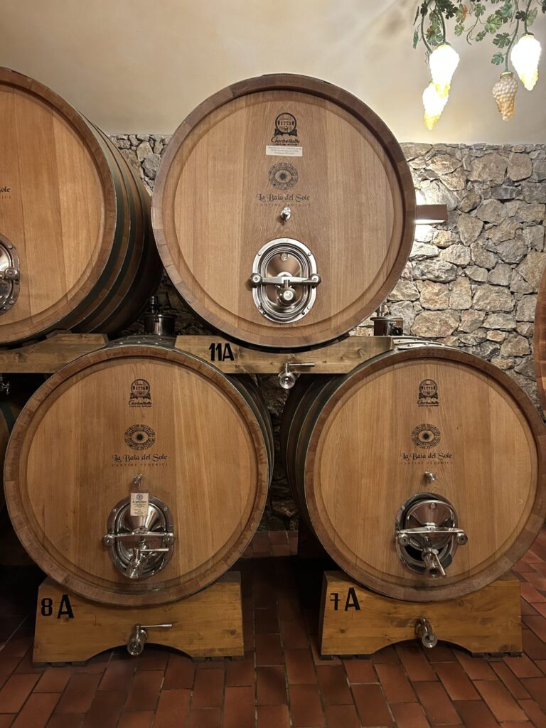 12 LA BAIA DEL SOLE - CANTINA