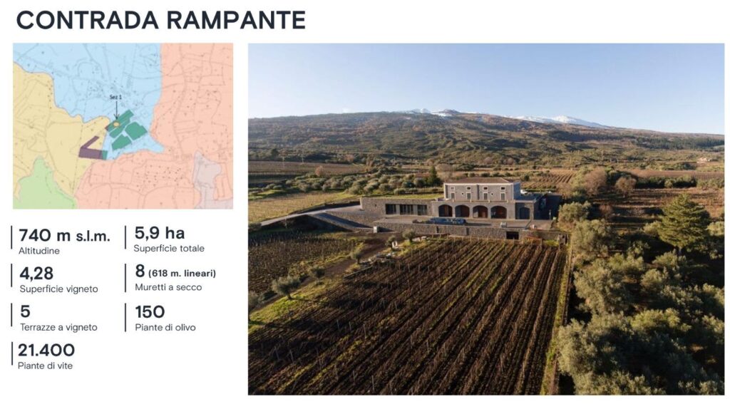 13 - TASCA D'ALMERITA
