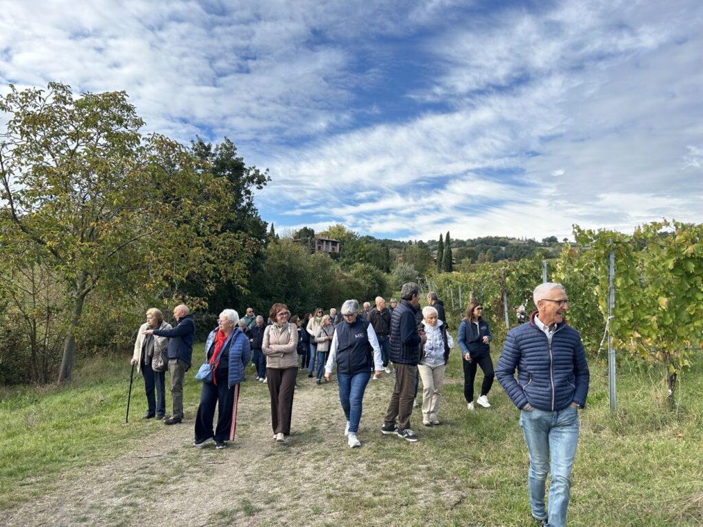 18 - IL VIGNETO