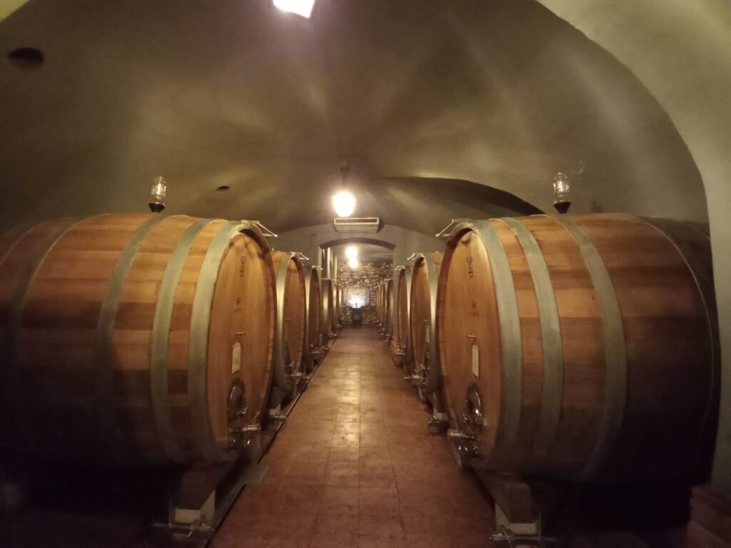 19 SANTI - CANTINA