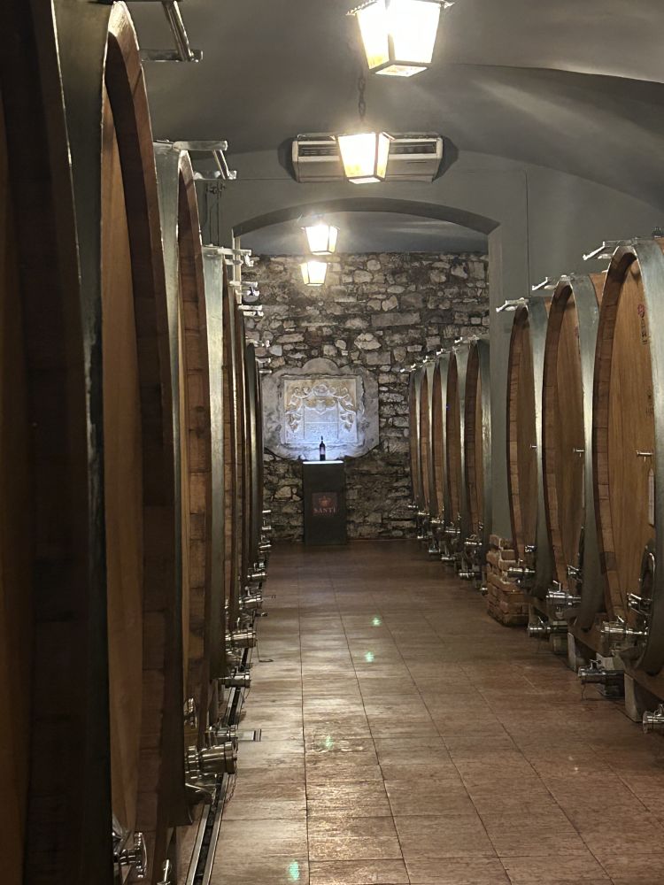 26 SANTI - CANTINA