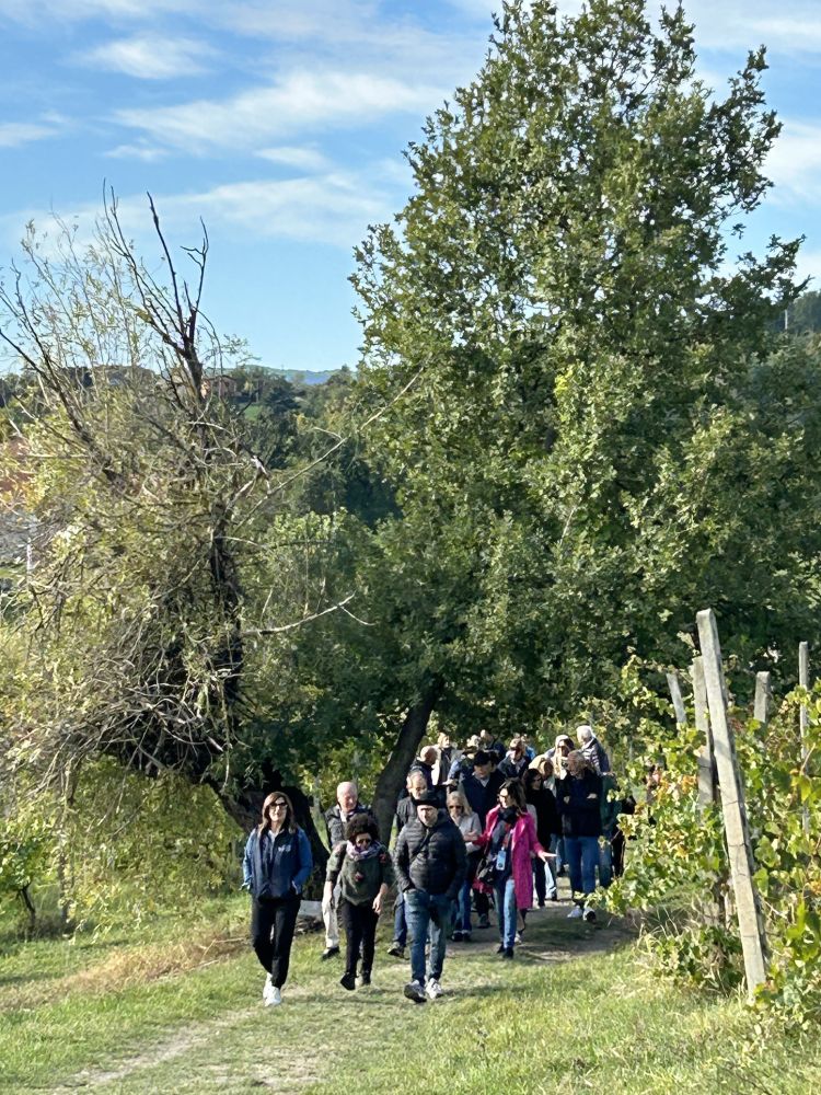 27 - VISITA AL VIGNETO